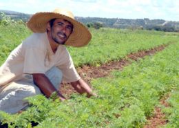 Agroecologia_ Mapa