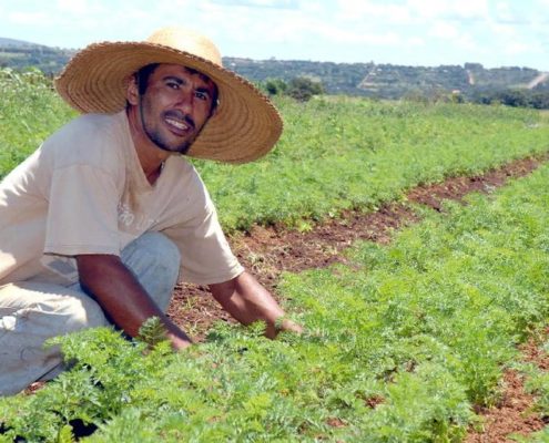 Agroecologia_ Mapa