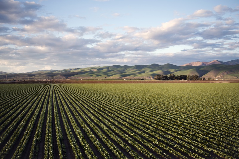 Safra 2026/27 exigirá agricultura mais técnica diante de clima instável, custos elevados e menor margem para erros