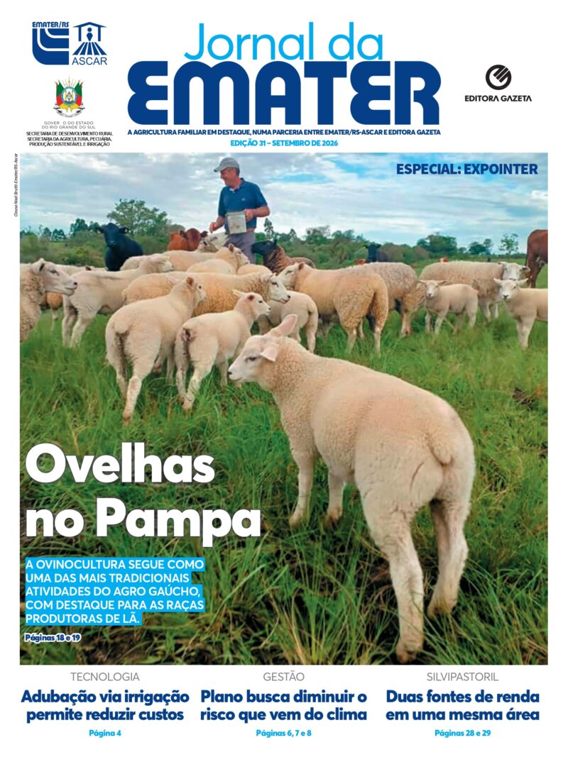 Jornal da Emater 31ª Edição